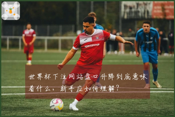 世界杯下注网站盘口升降到底意味着什么，新手应如何理解？