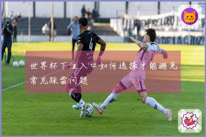 世界杯下注入口如何选择才能避免常见踩雷问题